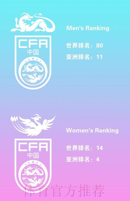 世界杯比分与球队综合实力对比